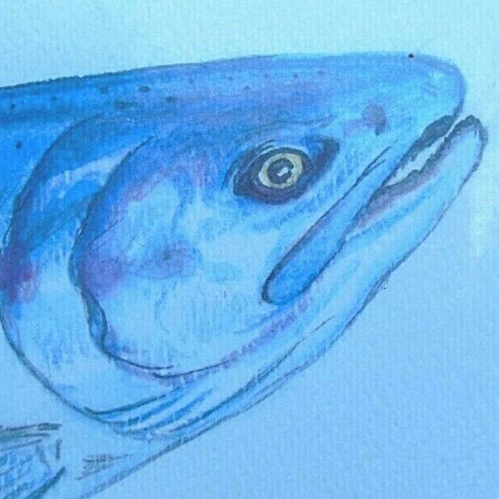 Don Nisbett Original Watercolor Painting Steelhead Ft George Signed on Foamcore - Picture 5 of 6